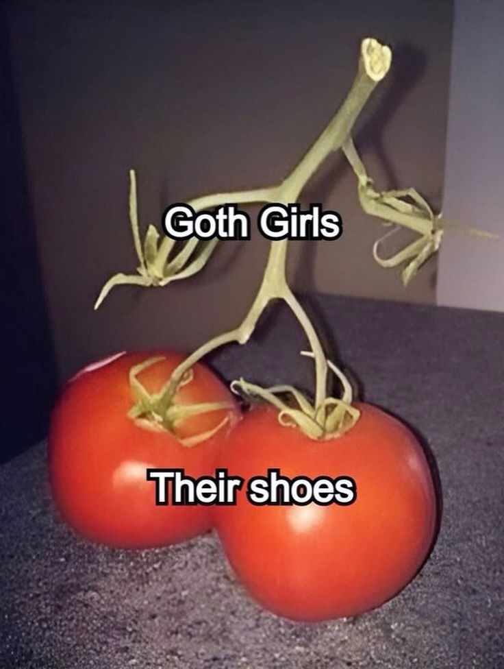 iamm3dusa instagram image archive image