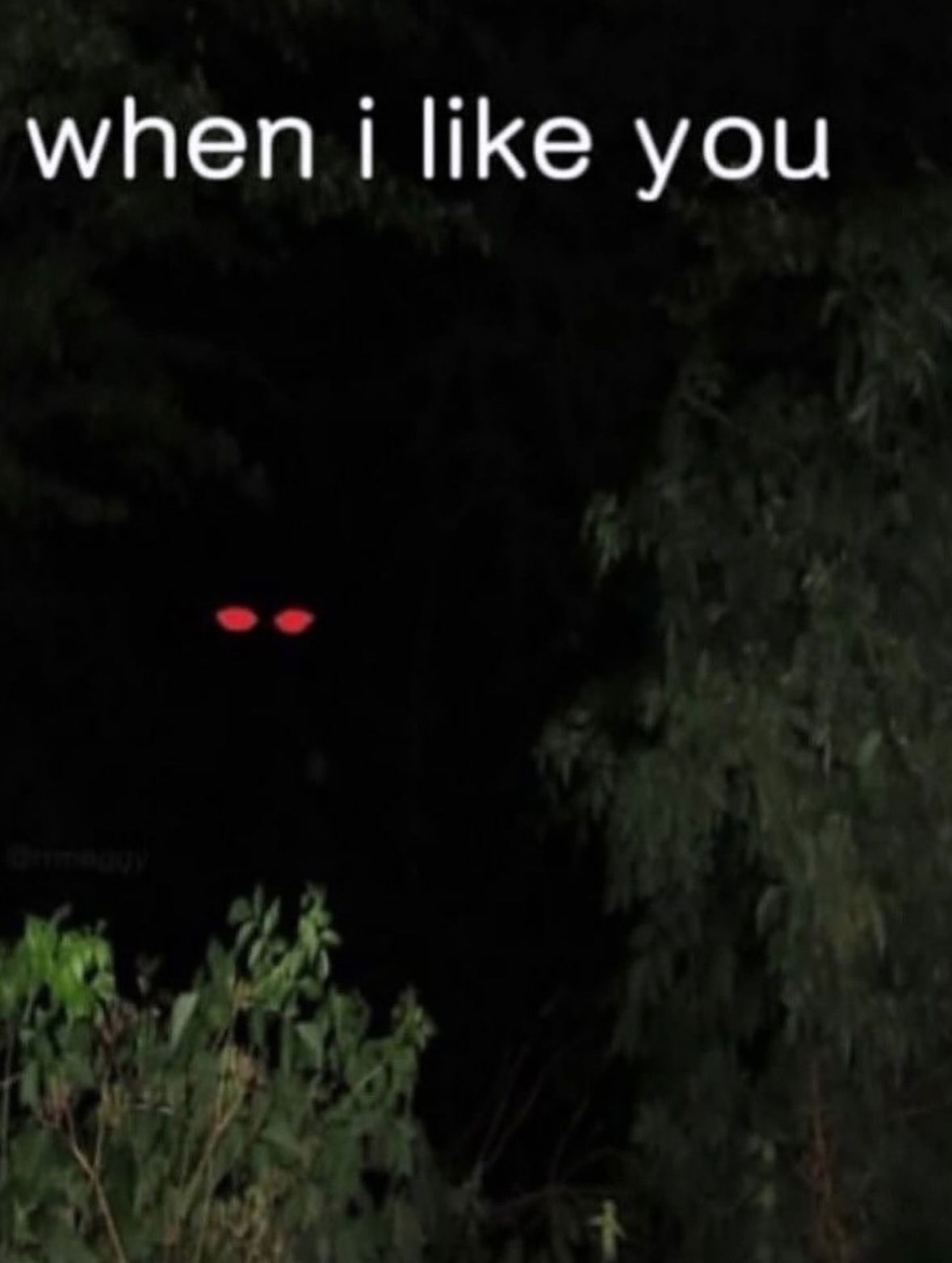 iamm3dusa instagram image archive image