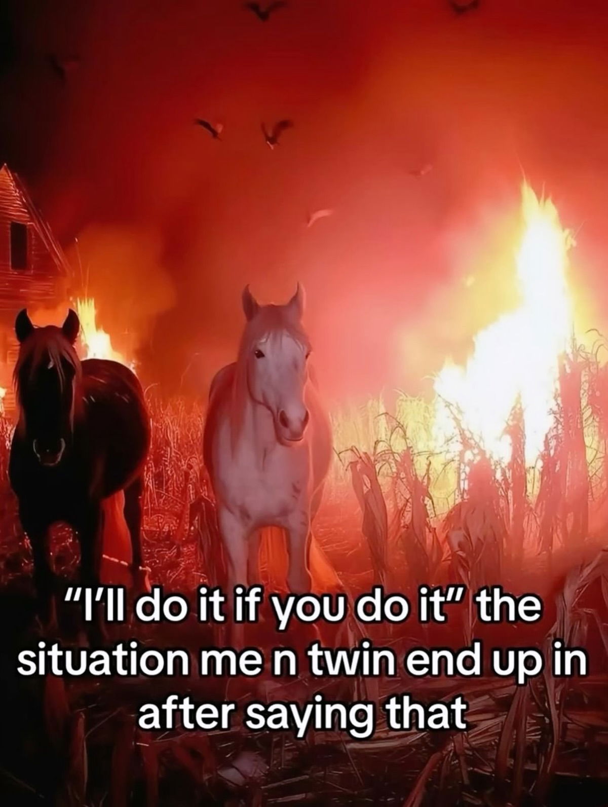 iamm3dusa instagram image archive image