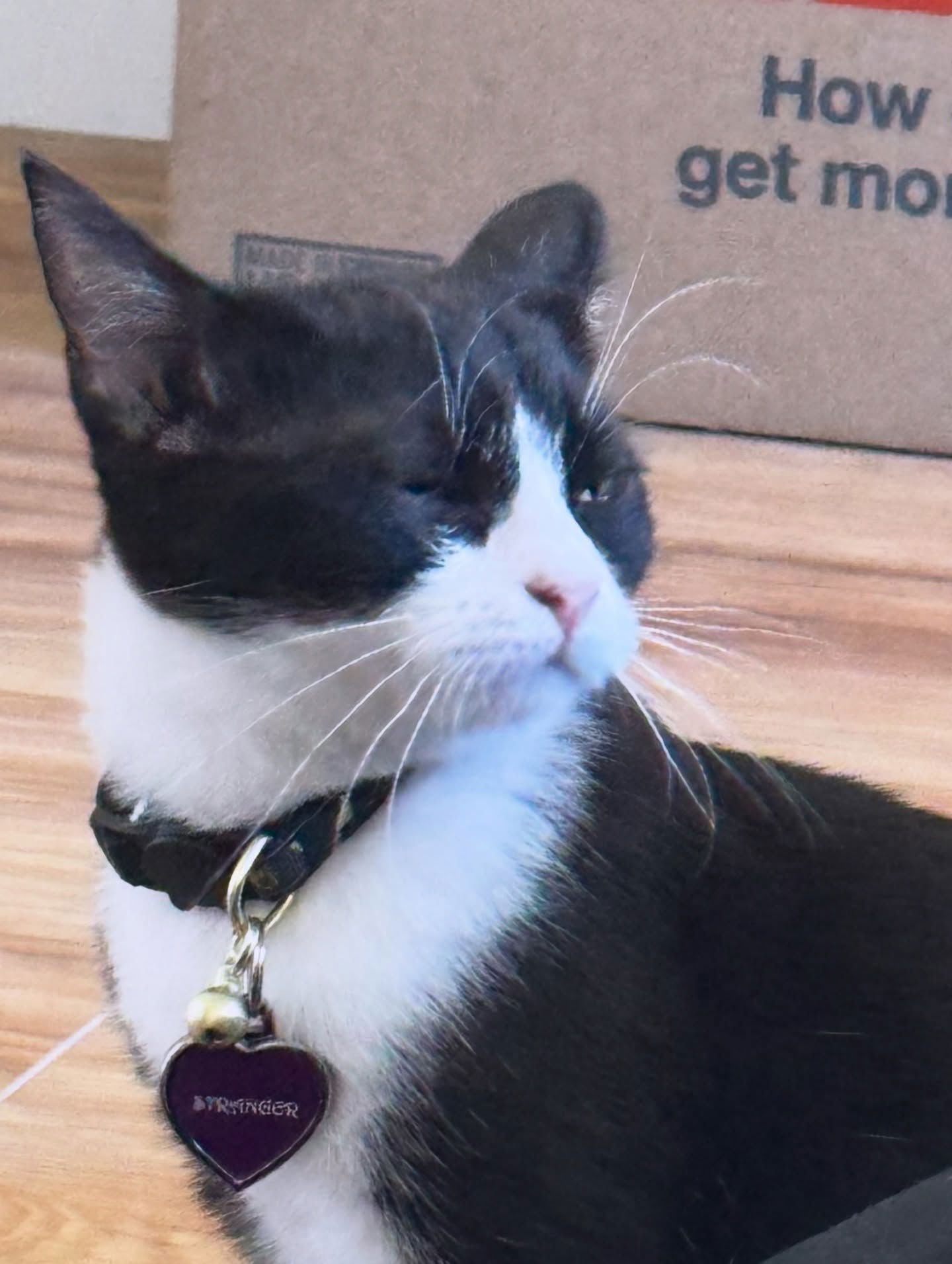 iamm3dusa instagram image archive image