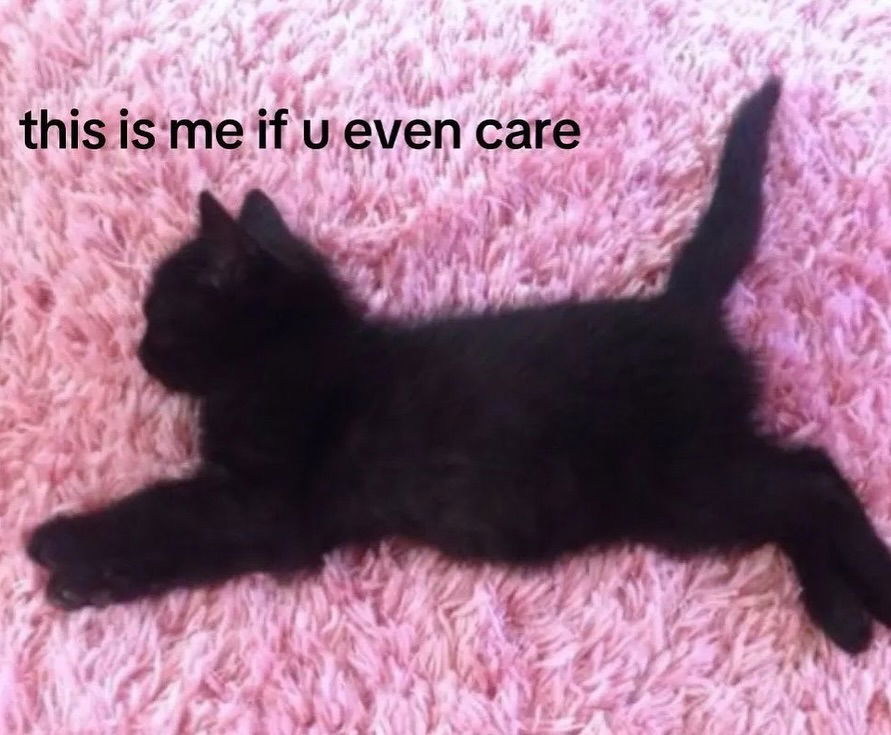 iamm3dusa instagram image archive image