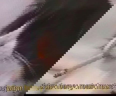 iamm3dusa instagram image archive image