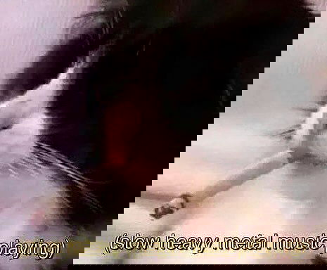 iamm3dusa image ~ Altpins