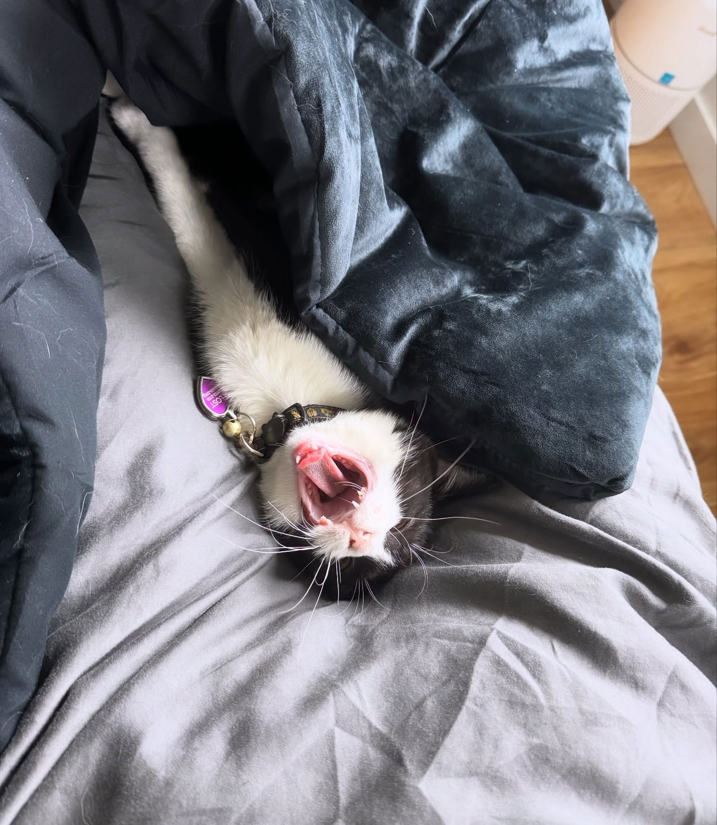 iamm3dusa instagram image archive image