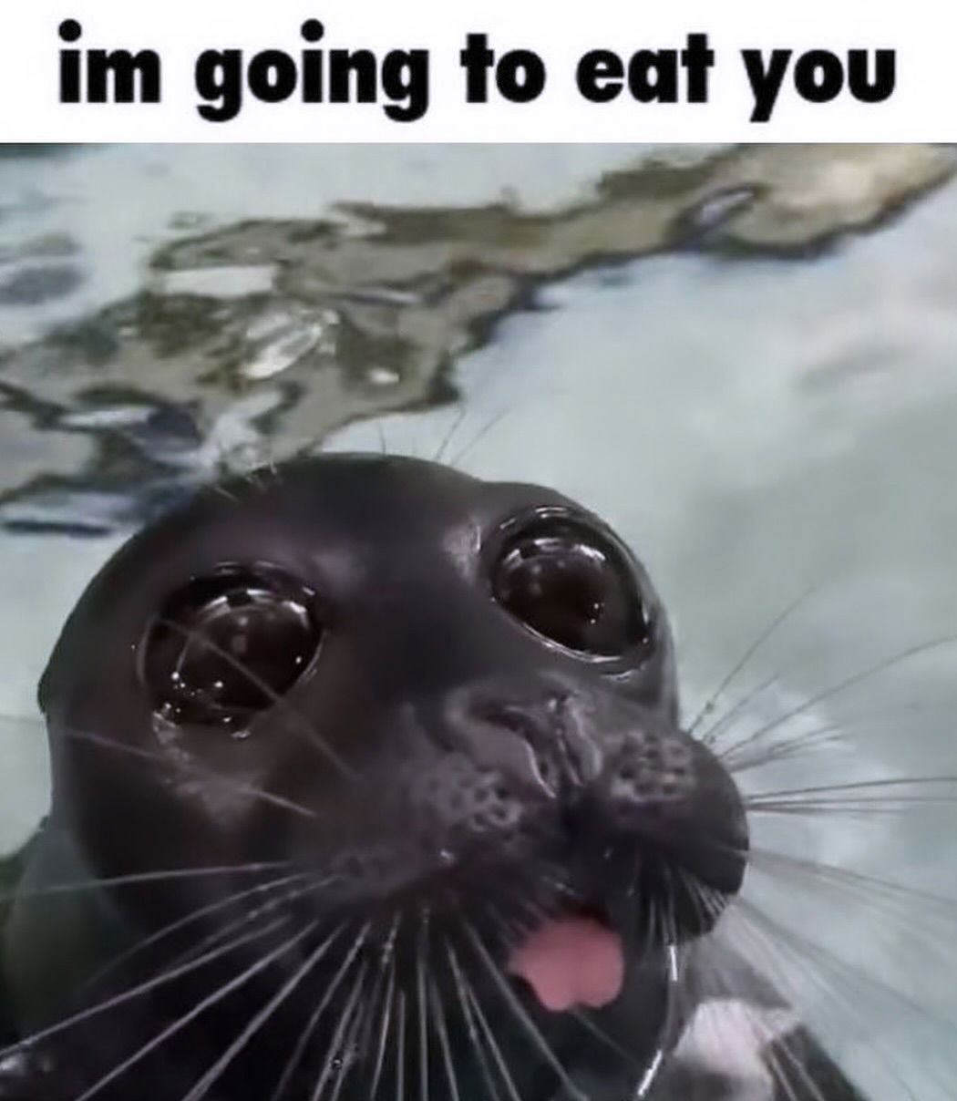 iamm3dusa instagram image archive image