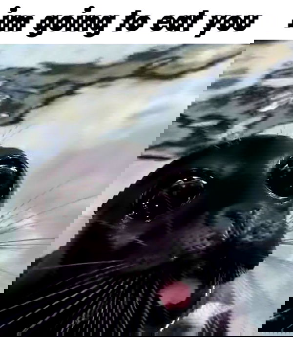 iamm3dusa image ~ Altpins