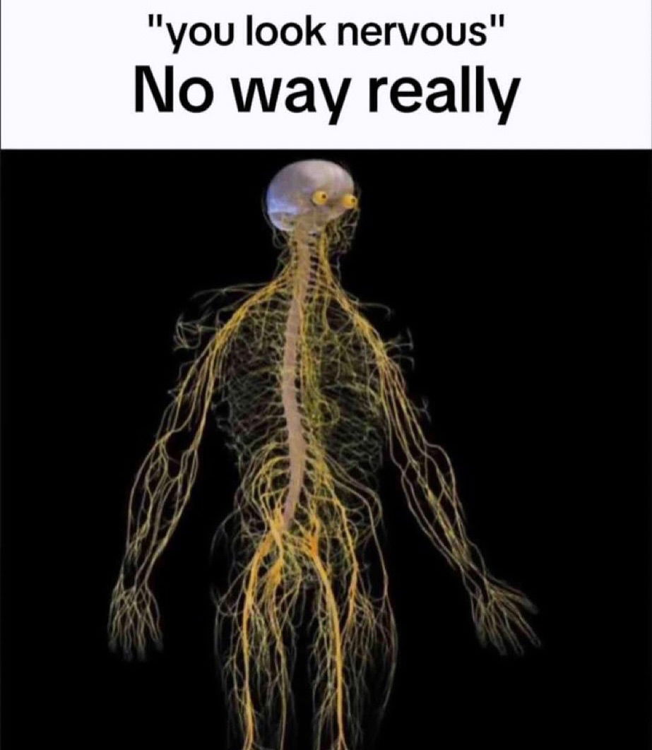 iamm3dusa instagram image archive image