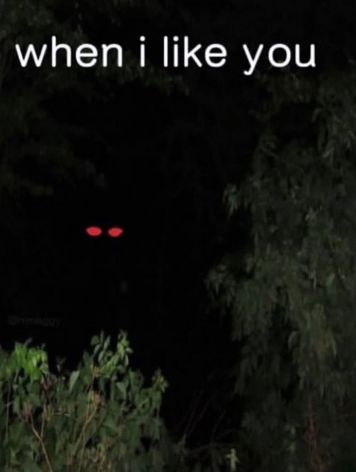 iamm3dusa instagram image archive image