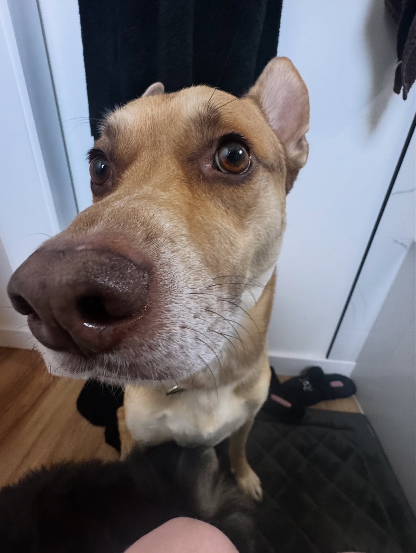 iamm3dusa instagram image archive image