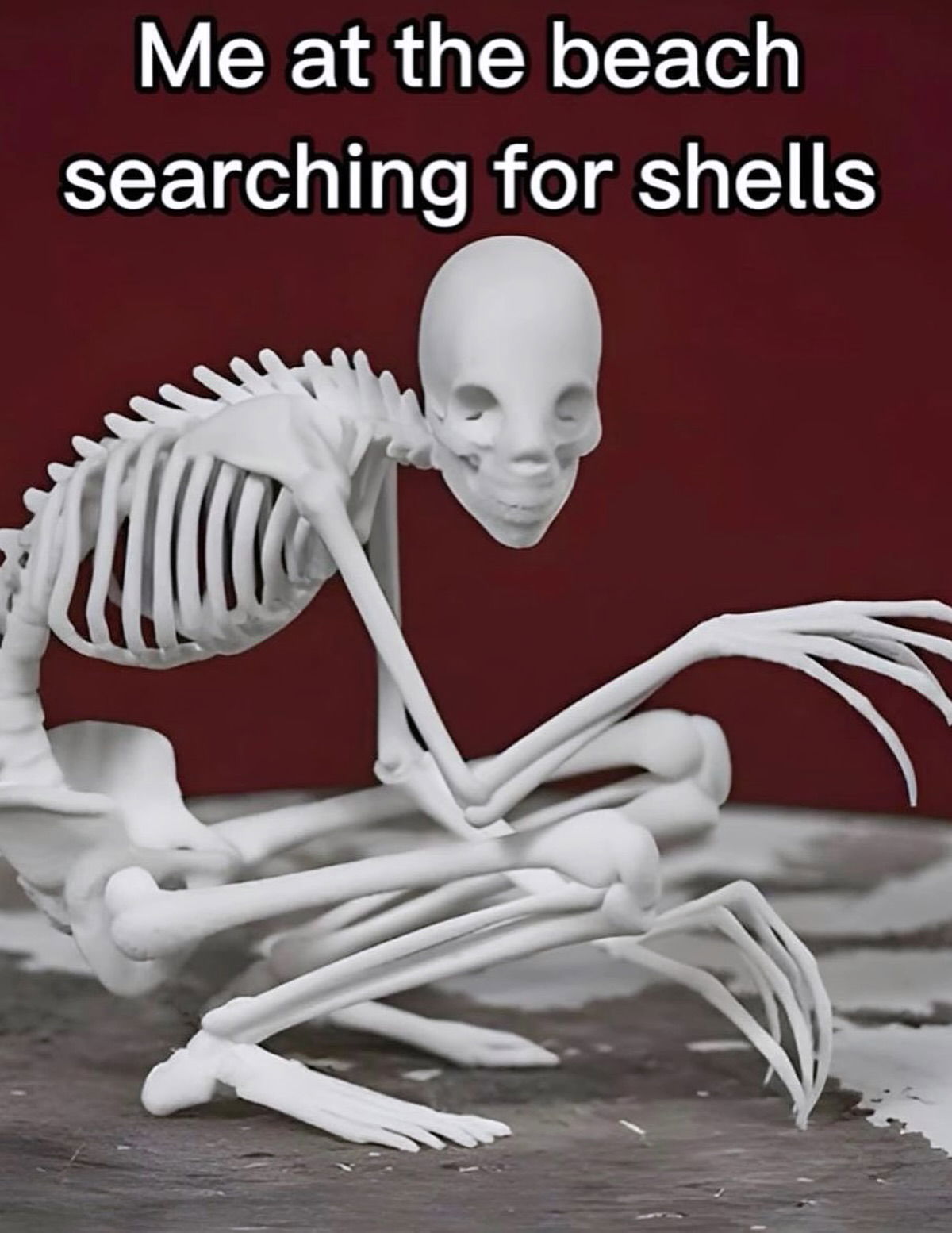 iamm3dusa instagram image archive image