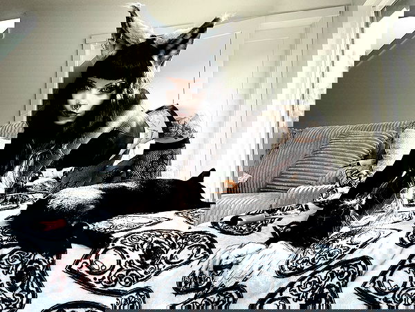 iamm3dusa image ~ Altpins