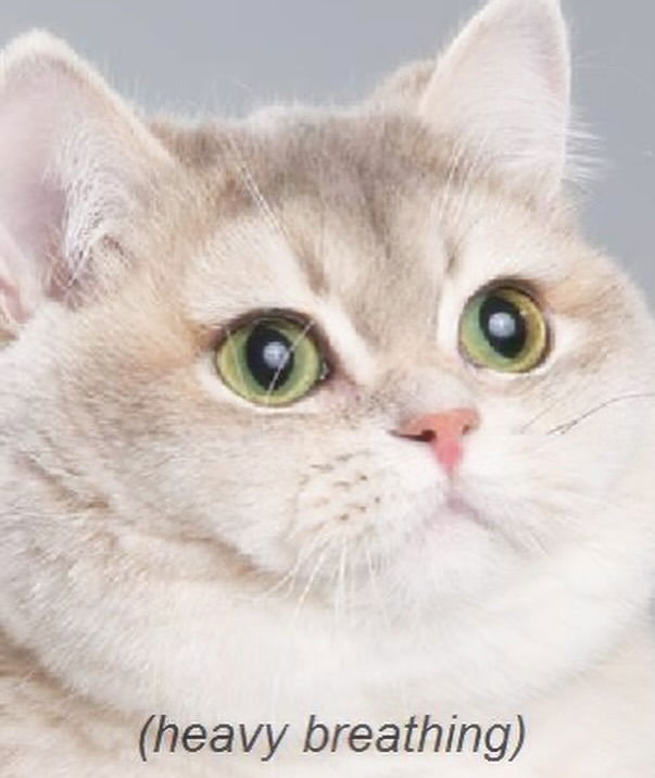 iamm3dusa instagram image archive image