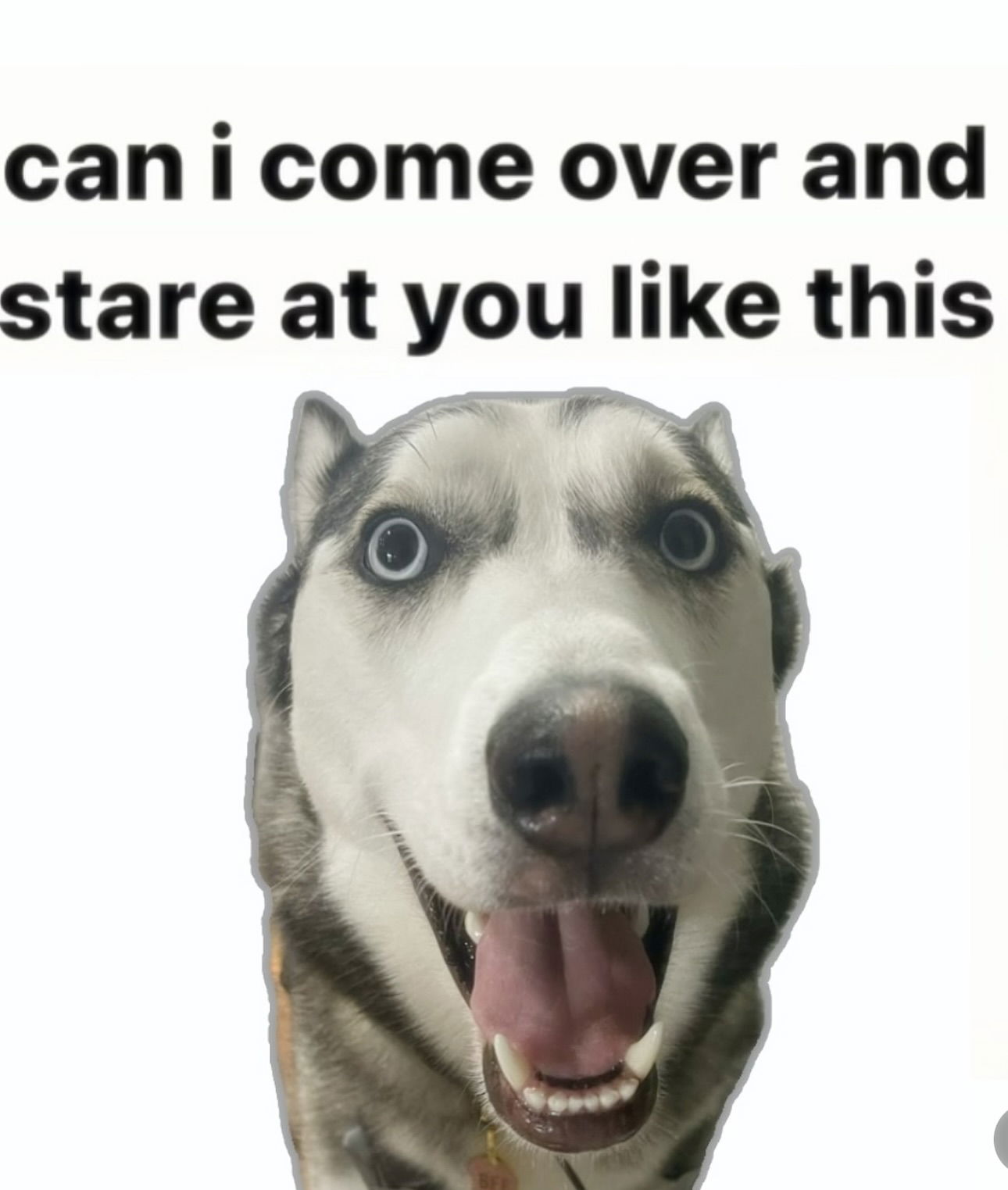 iamm3dusa instagram image archive image