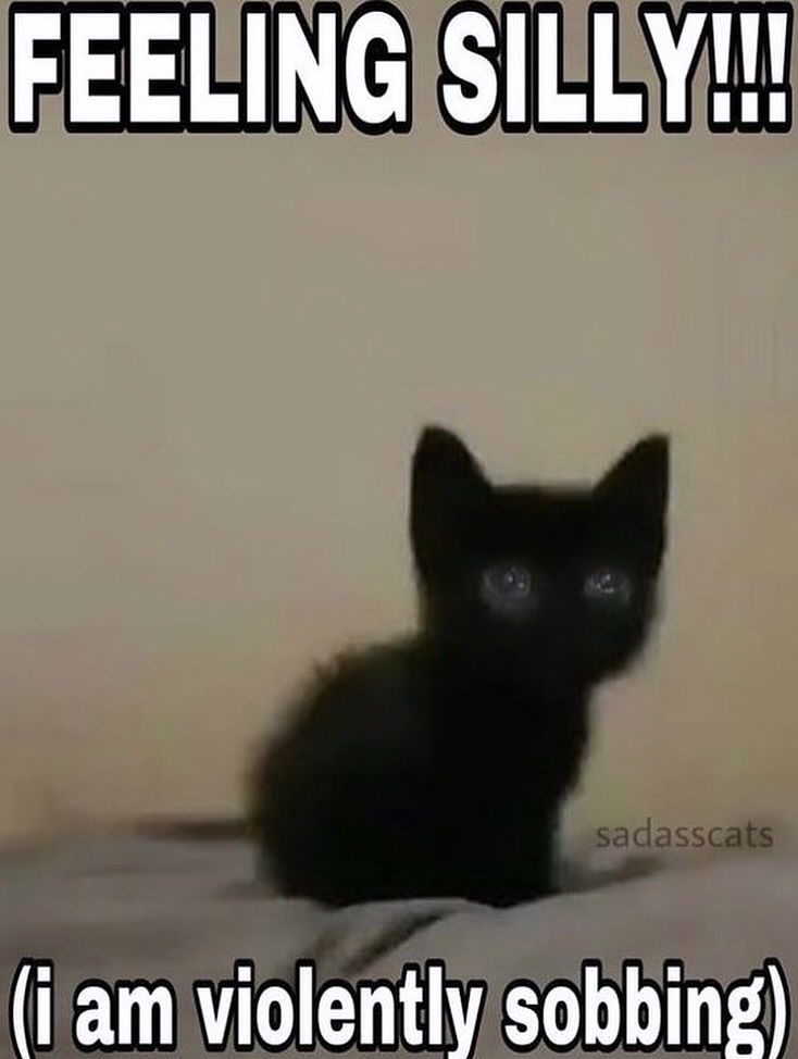 iamm3dusa instagram image archive image