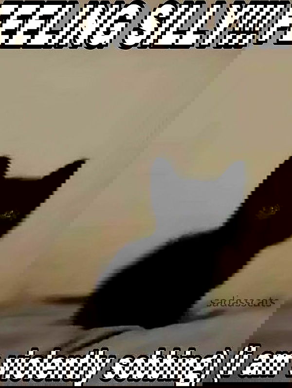 iamm3dusa image ~ Altpins