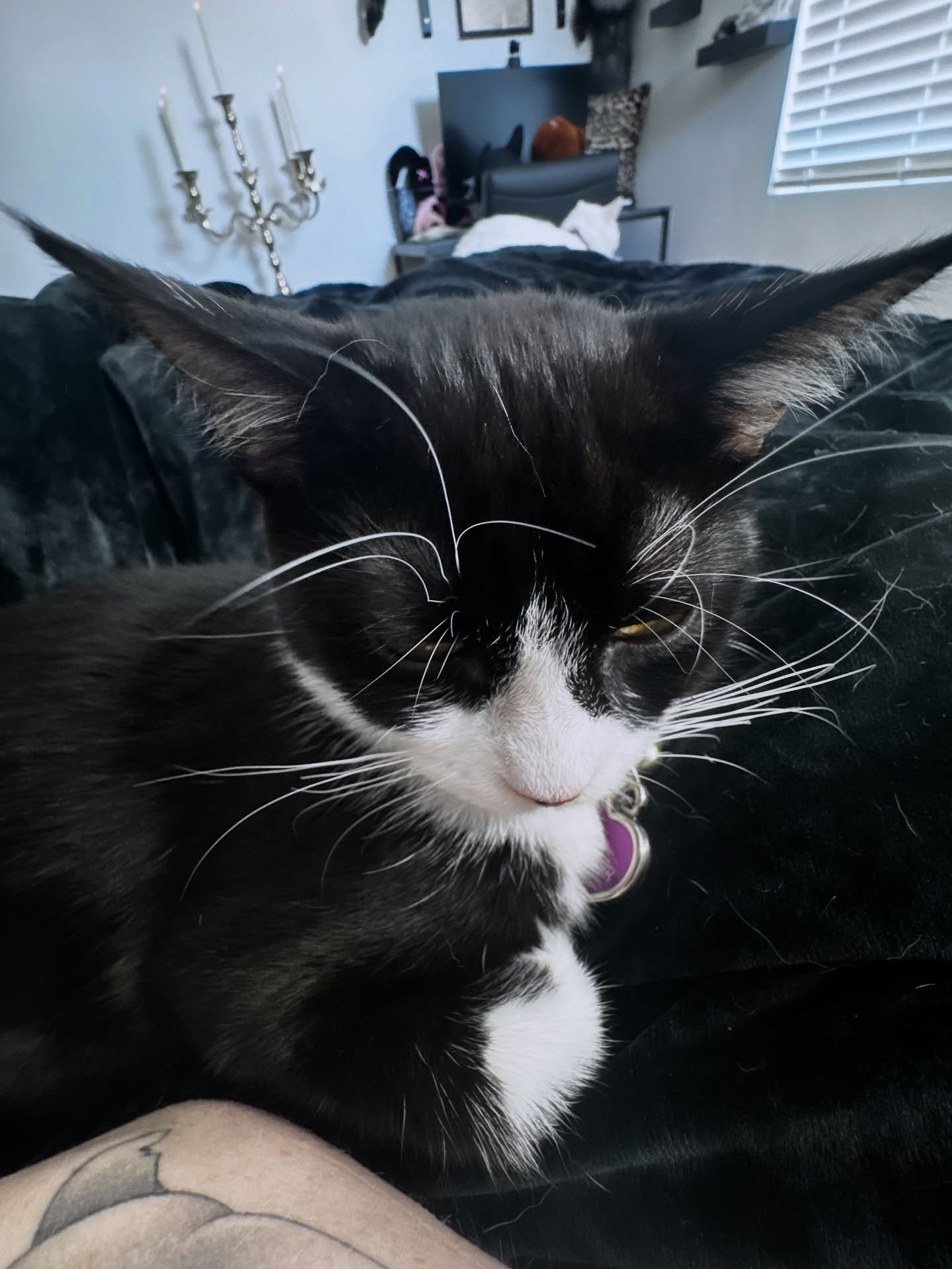 iamm3dusa instagram image archive image