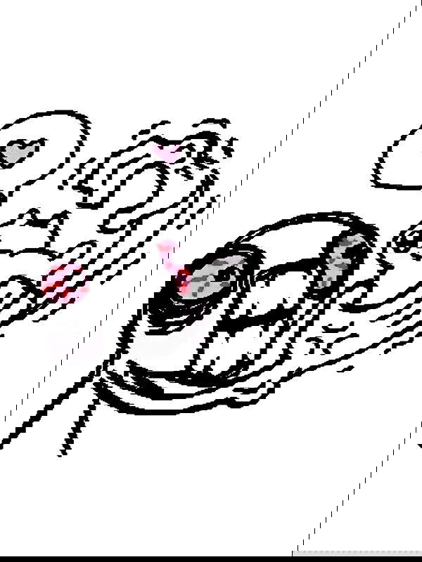 iamm3dusa image ~ Altpins