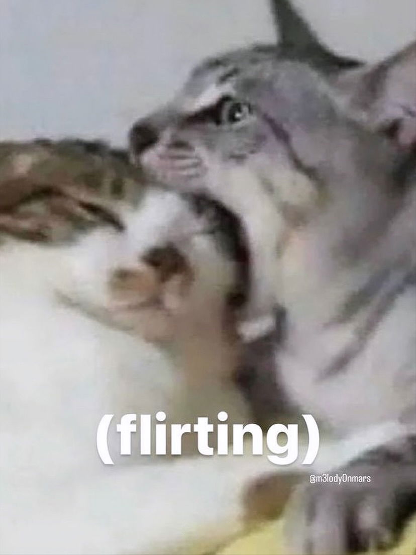 iamm3dusa instagram image archive image