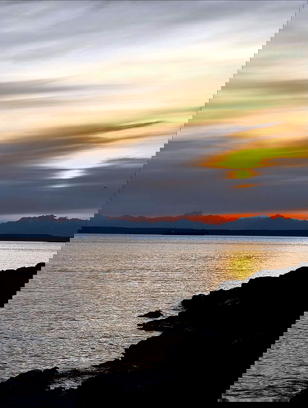 iamm3dusa image ~ Altpins