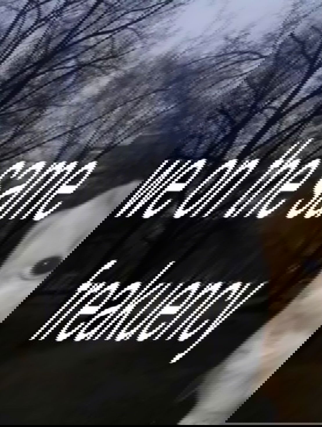 iamm3dusa instagram image archive image