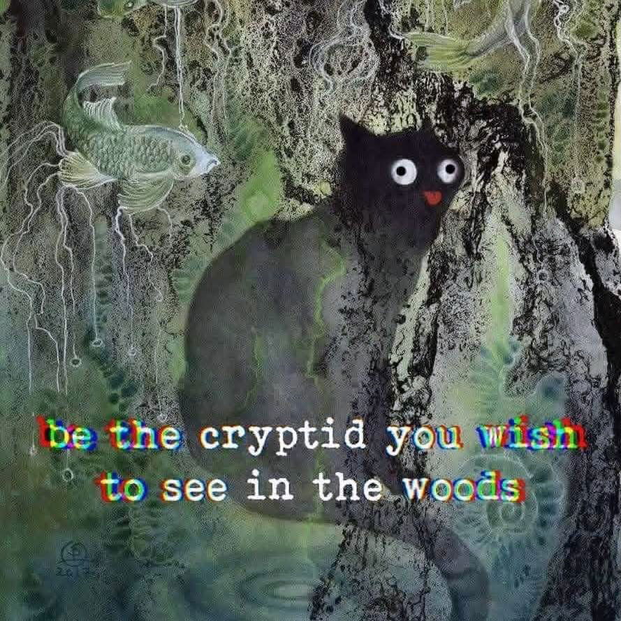 iamm3dusa instagram image archive image