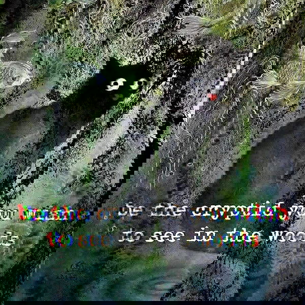 iamm3dusa image ~ Altpins