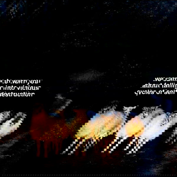 iamm3dusa image ~ Altpins