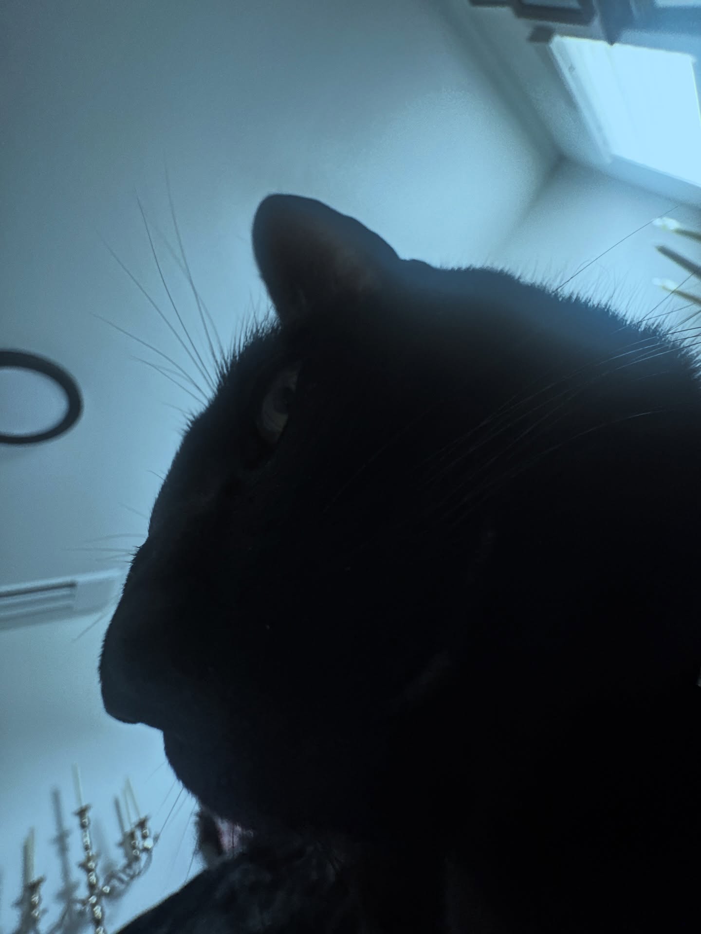 iamm3dusa instagram image archive image