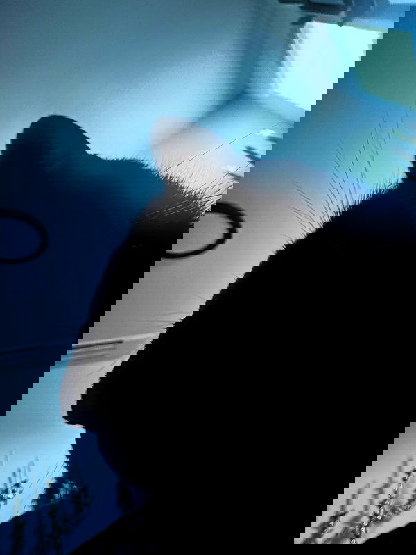 iamm3dusa image ~ Altpins