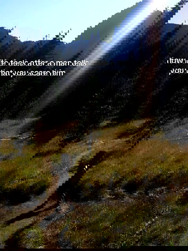 iamm3dusa image ~ Altpins