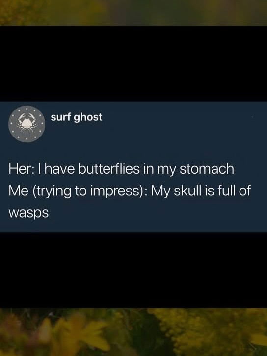 iamm3dusa instagram image archive image