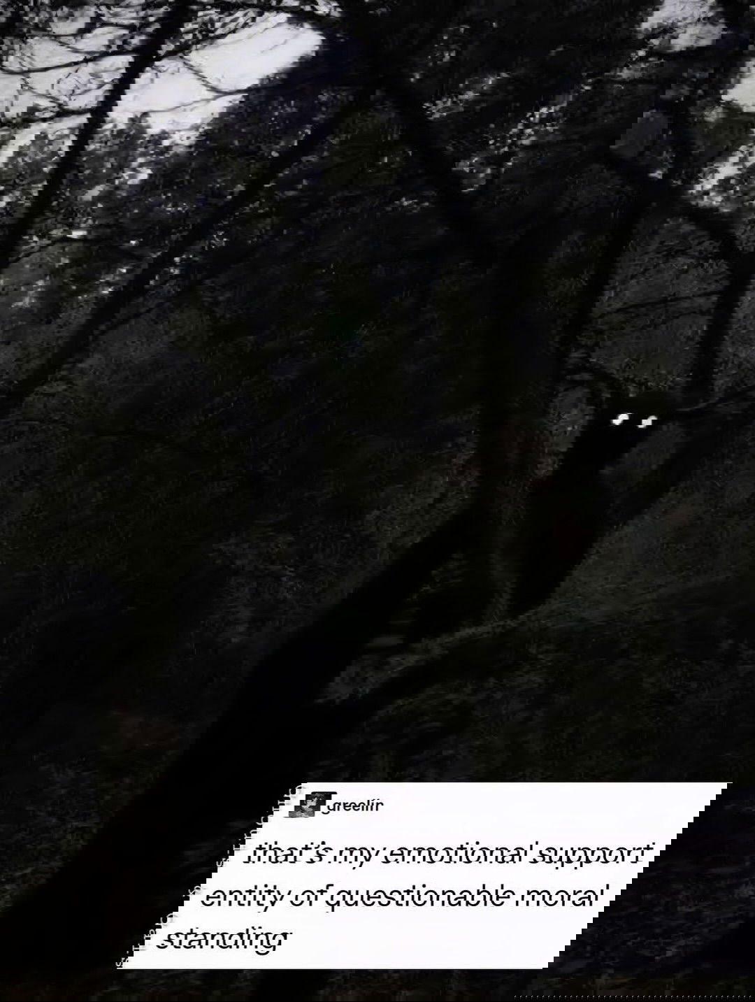 iamm3dusa instagram image archive image