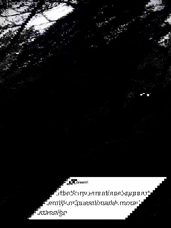 iamm3dusa image ~ Altpins