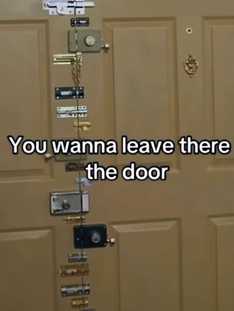 iamm3dusa instagram image archive image