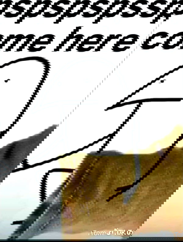 iamm3dusa image ~ Altpins