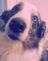 iamravenchantal Altpins Profile Picture
