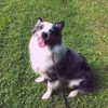 iamravenchantal Altpins Profile Picture