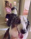 iamravenchantal Altpins Profile Picture
