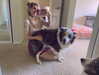 iamravenchantal Altpins Profile Picture