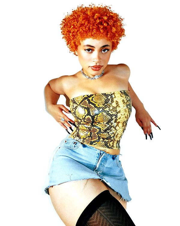 icespice instagram image archive image