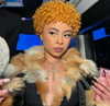 icespice Altpins Profile Picture