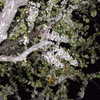 ifkissescouldleavecuts Altpins Profile Picture