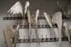 ifkissescouldleavecuts Altpins Profile Picture