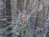 ifkissescouldleavecuts Altpins Profile Picture
