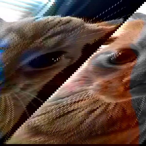 ilikesleepin_g image ~ Altpins