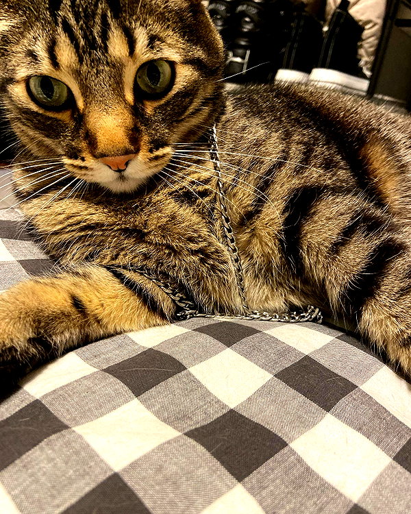 iljfgigi instagram image archive image