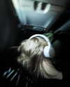 illtilldeath Altpins Profile Picture