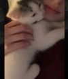 illtilldeath Altpins Profile Picture