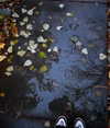 illtilldeath Altpins Profile Picture
