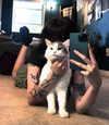 illtilldeath Altpins Profile Picture